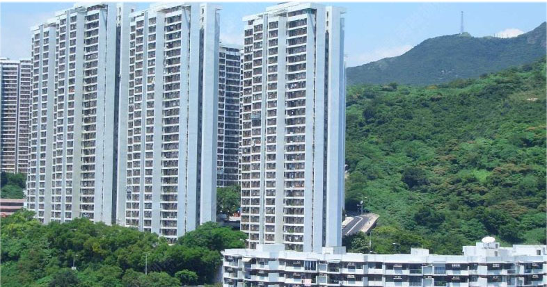 今日地產新聞摘要 2024年11月25日